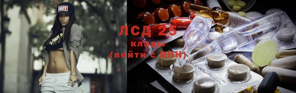 гашик Нефтекумск