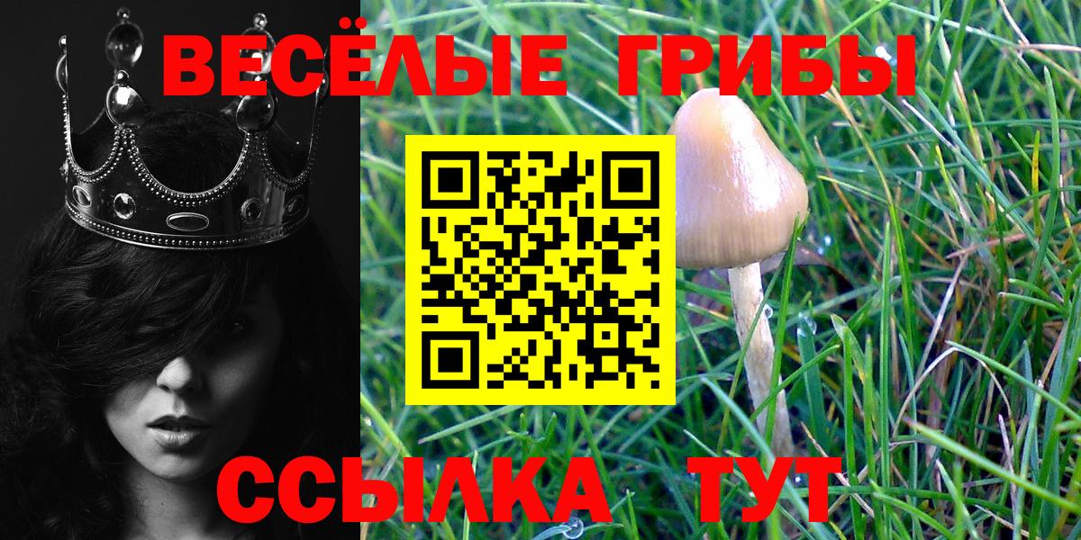 Галлюциногенные грибы Magic Shrooms Фрязино