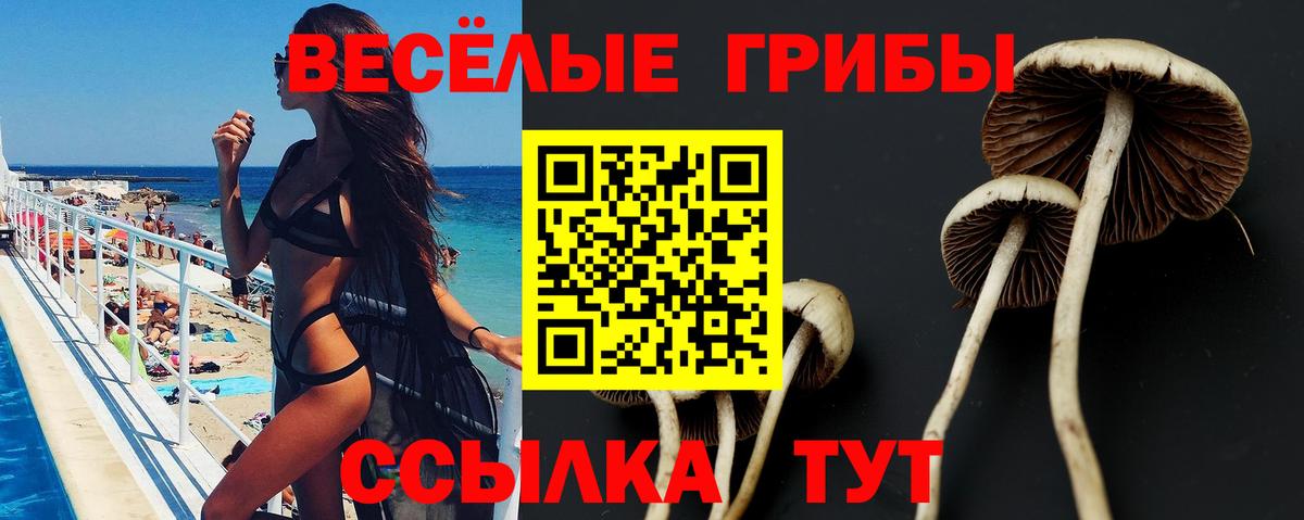 Псилоцибиновые грибы Psilocybine cubensis  Вход с VPN  Фрязино 